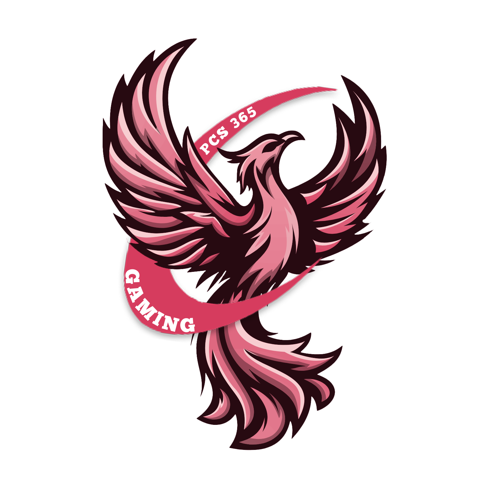 PCS-365-Logo-Final Logo von PCS365 Gaming